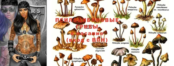 первитин Навашино